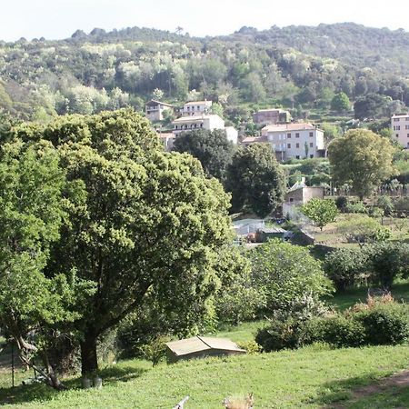 A Cardiccia Loc Saisonnieres Piana Appartement Piana  Buitenkant foto