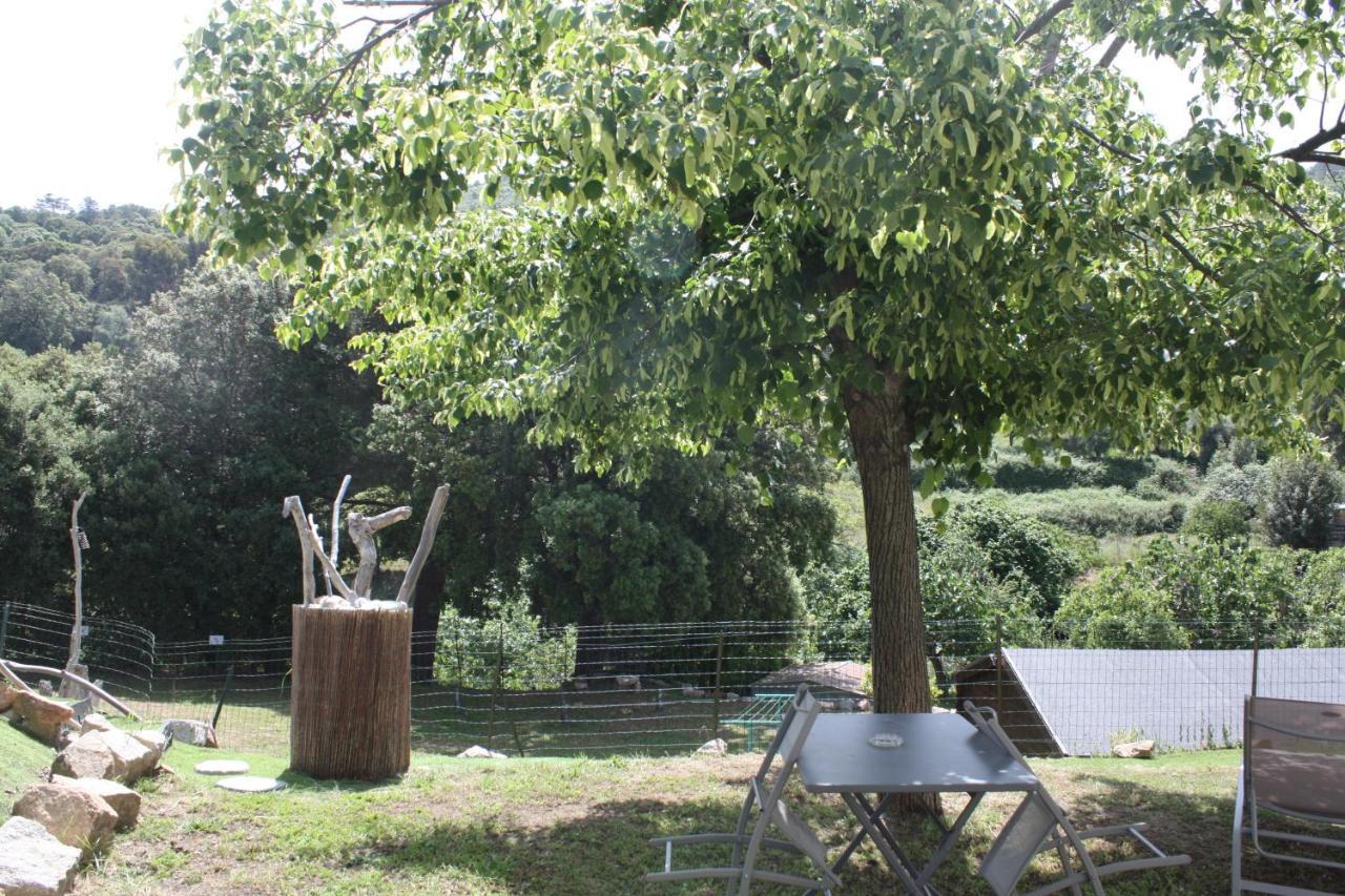 A Cardiccia Loc Saisonnieres Piana Appartement Piana  Buitenkant foto
