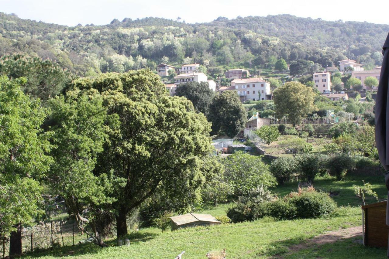 A Cardiccia Loc Saisonnieres Piana Appartement Piana  Buitenkant foto